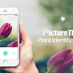 PictureThis – Plant Identifier