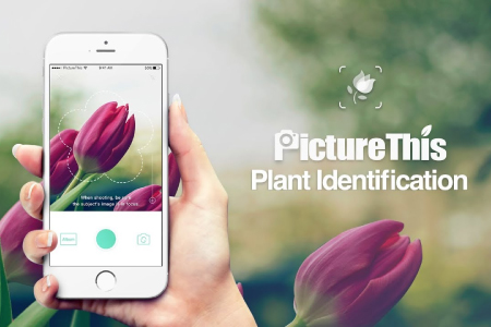 PictureThis – Plant Identifier